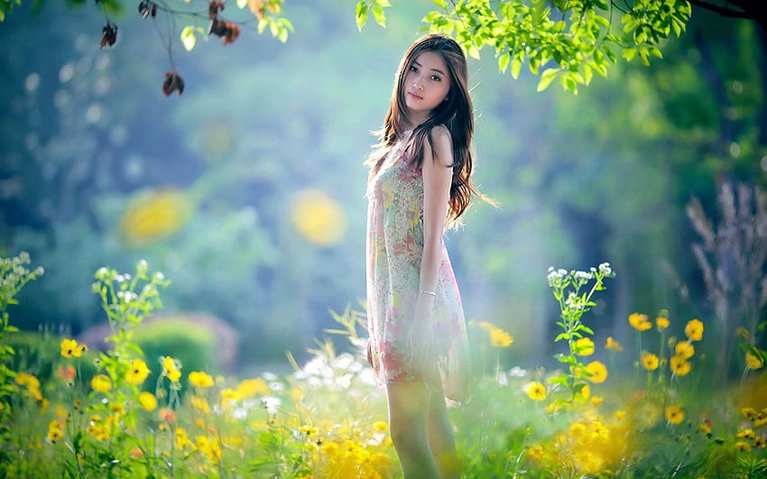 Girls For PC Group, elegante ragazza carina cinese Sfondo HD