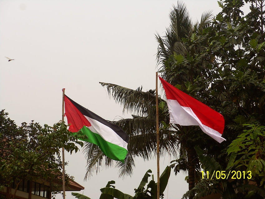 Milad SSP, Kibarkan Bendera Indonesia dan Palestina, bendera palestina Fond d'écran HD