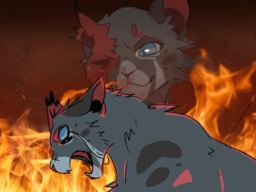 Continuation Of Ashfur Au Hd Wallpaper Pxfuel