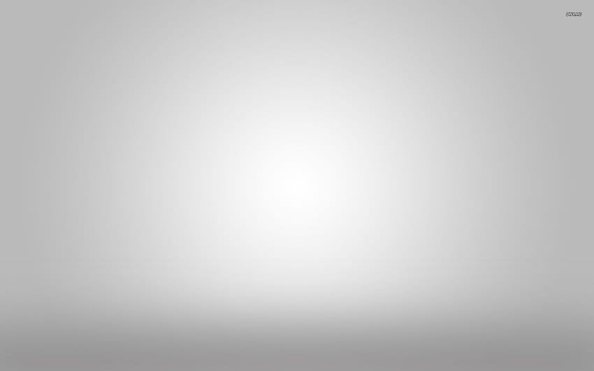 Light gray gradient Abstract, white gradient HD wallpaper