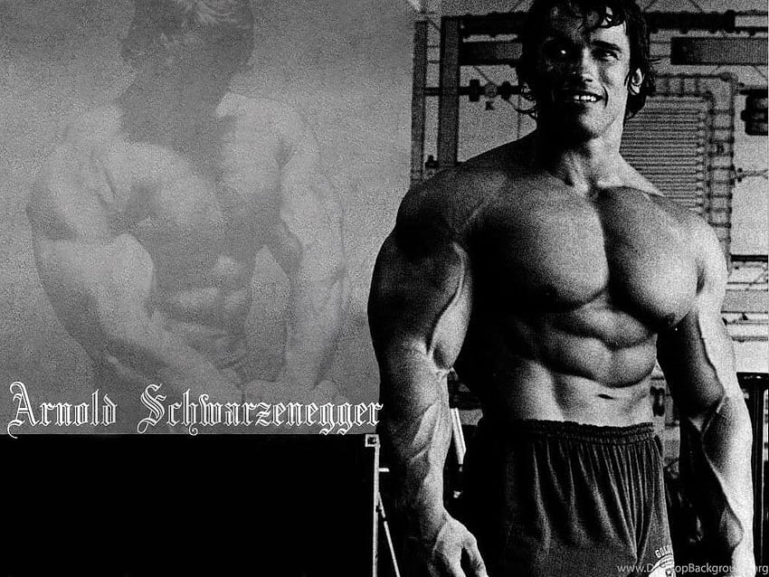 Arnold Schwarzenegger High Resolution And Quality Hd Wallpaper Pxfuel 6640