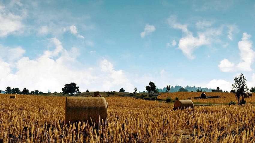 PUBG PC, publicación para PC fondo de pantalla