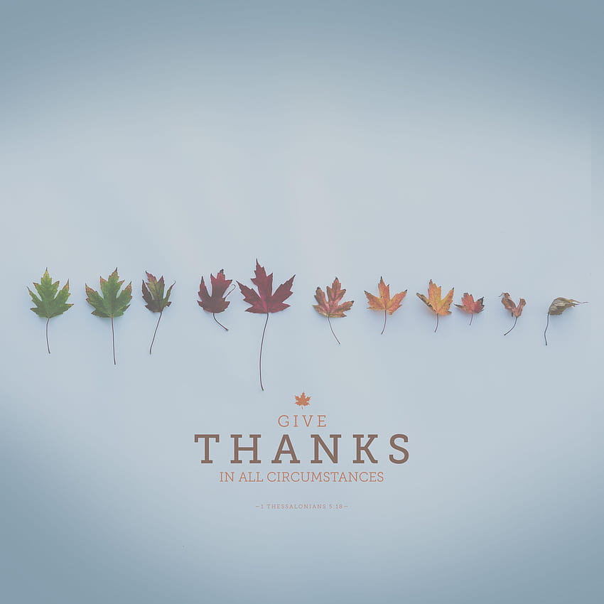 Wednesday : Give Thanks in All Circumstances, of thanks HD phone wallpaper