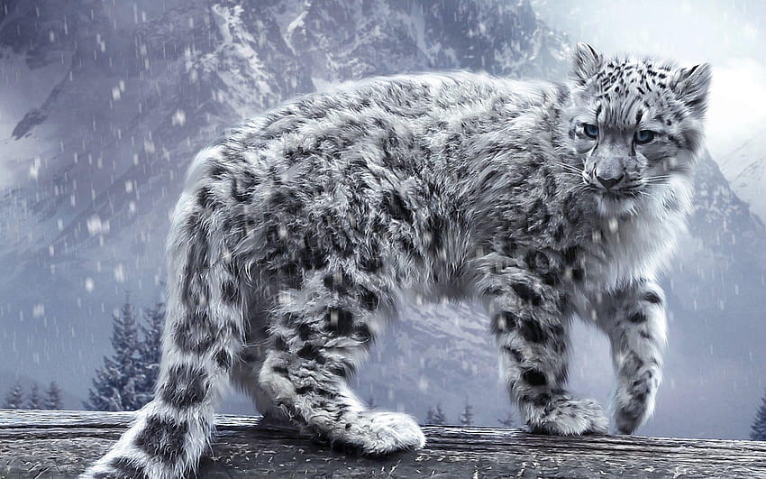 Animaux cool chat félin léopards des neiges neige bois arbres pins Fond d'écran HD