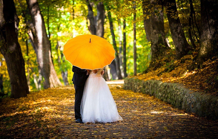 bride man yellow backgrounds a woman wedding autumn, groom HD wallpaper