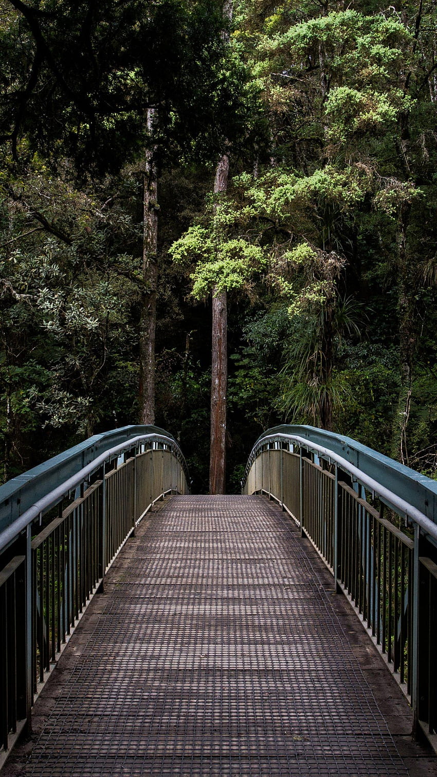 Ponte da Floresta, andróide da floresta Papel de parede de celular HD