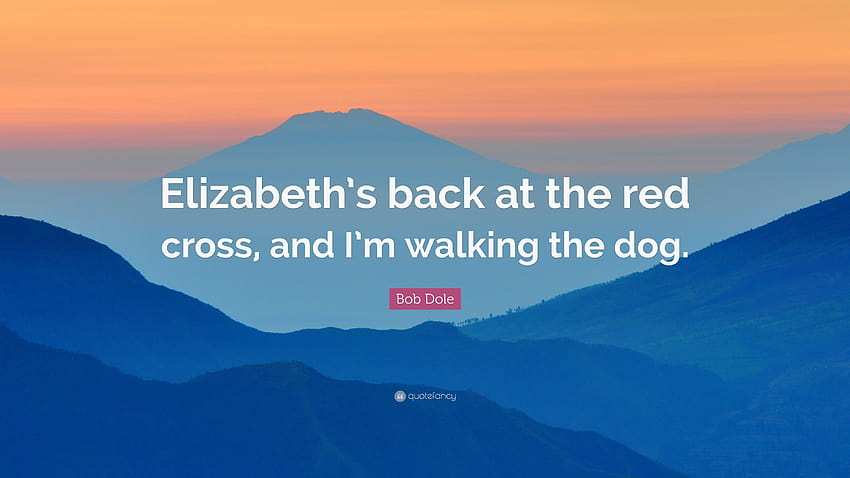 Bob Dole Quote: “Elizabeth's back at the red cross, and I'm walking HD wallpaper