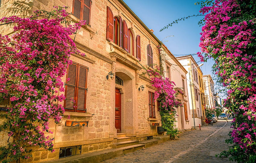 flowers, street, the building, Turkey , section город, spring flowers street HD wallpaper