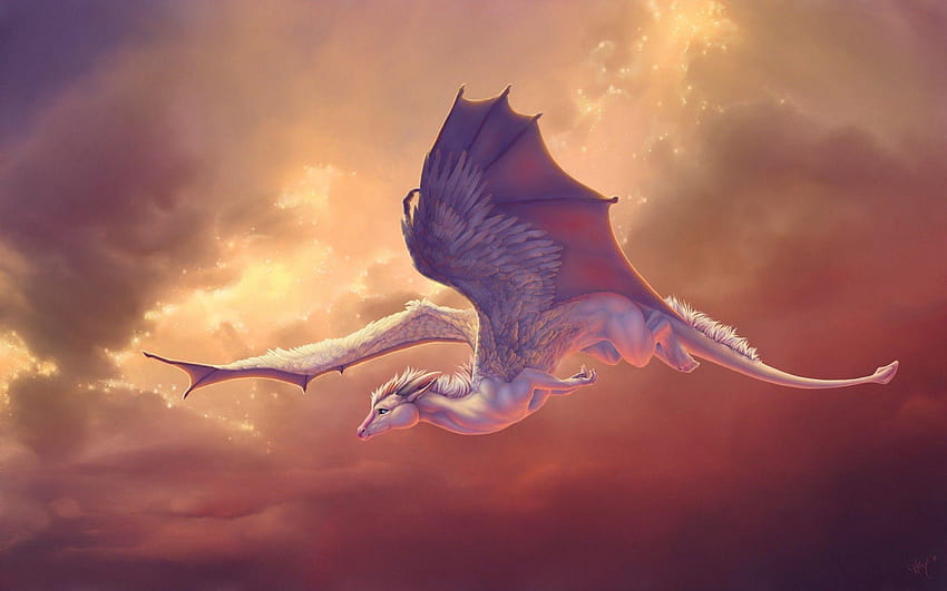 Baby Dragon, Wings, Flight, Creative Graphics HD wallpaper