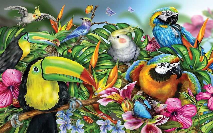Tropical Colorful Birds Papagal Ara Toucan Bird With A Beak, colorful bird art HD wallpaper