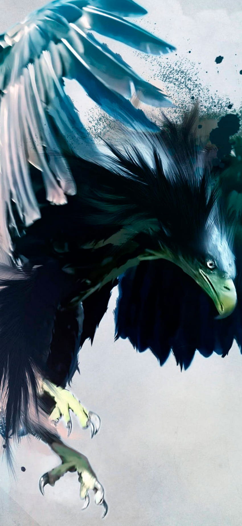Eagle for iPhone 11, Pro Max, X, 8, 7, 6, angry eagle HD phone wallpaper
