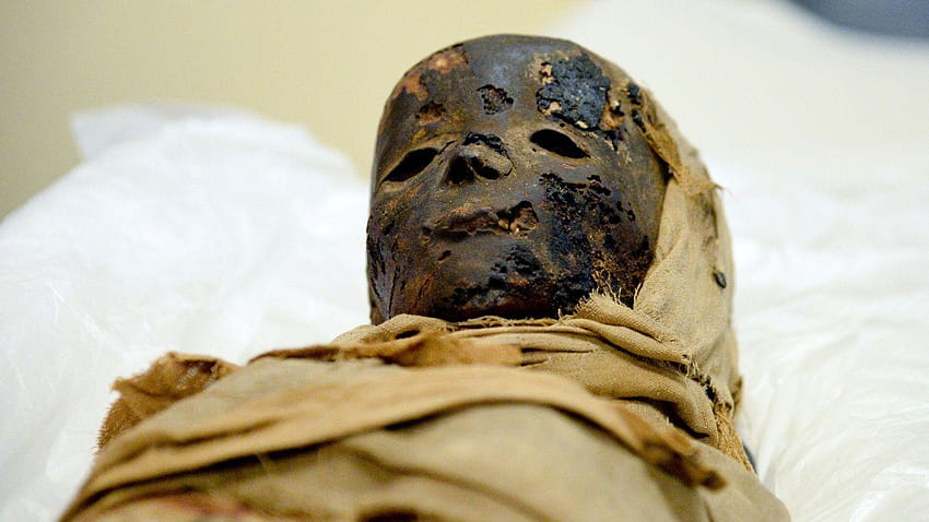 Child mummies uncovered, egypt mummies HD wallpaper