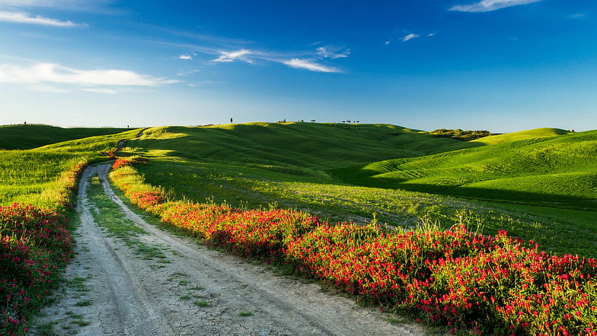 Tuscany, , Italy, Meadows, road, tuscany italy HD wallpaper