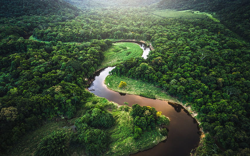 아마존 열대우림 윈도우 10 테마 HD 월페이퍼