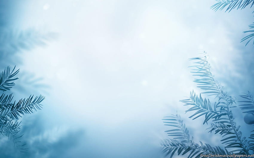 Зимен Ppt фон, Зимни фонове със снежинки HD тапет