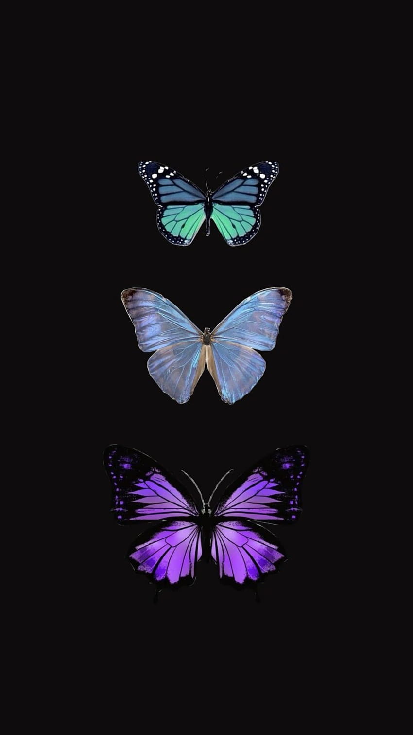 22 Stunning Butterfly Phone, butterfly for phone HD phone wallpaper ...