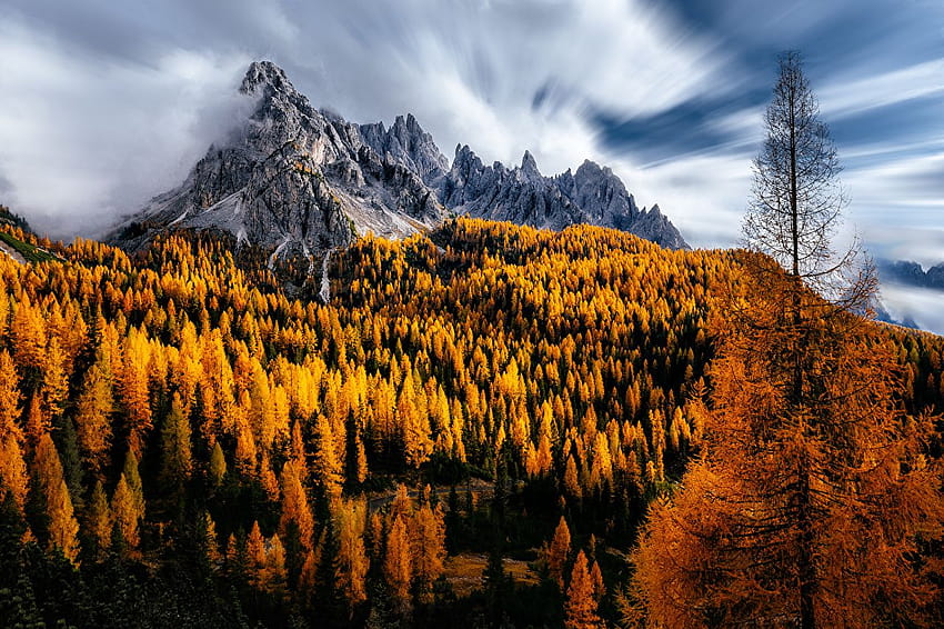 Italy Dolomites Nature Autumn Mountains Trees, autumn dolomites italy HD wallpaper