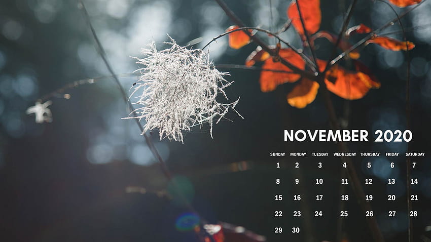 November 2020 calendar computer HD wallpaper | Pxfuel