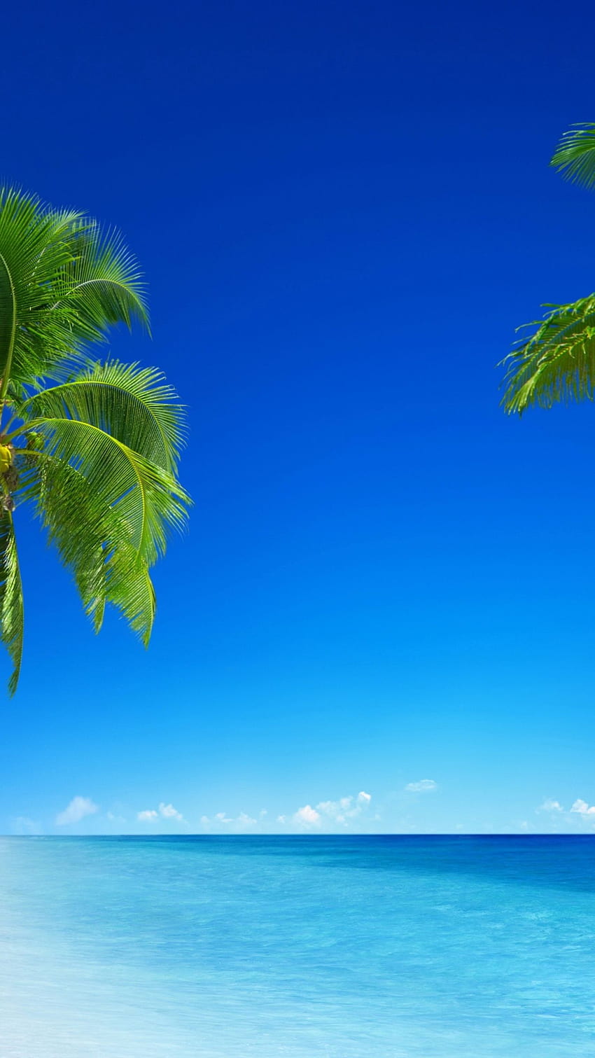 Tropical beach, , paradise, palms, iphone beach full HD phone wallpaper