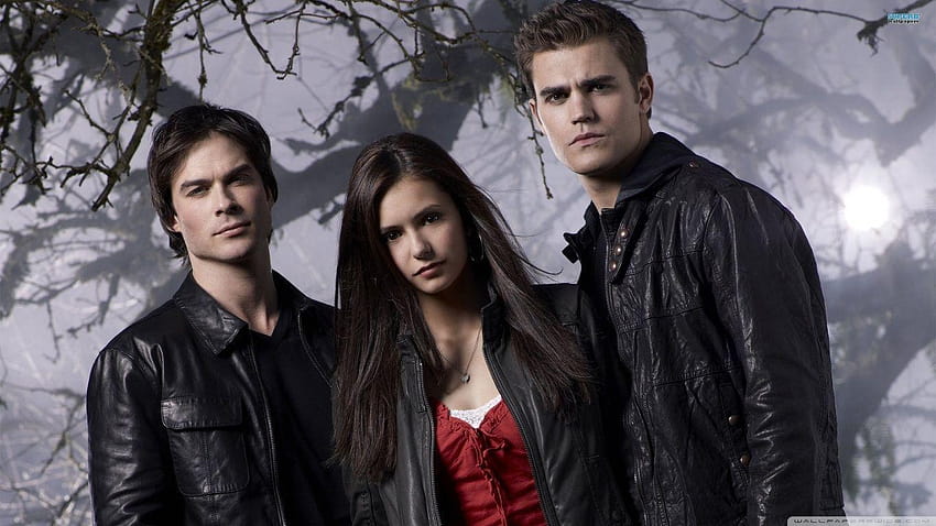 the vampire diaries season 3 wallpaper