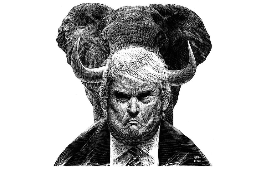 elefante, Partido Republicano, Donald Trump, GOP , seção минимализм papel de parede HD