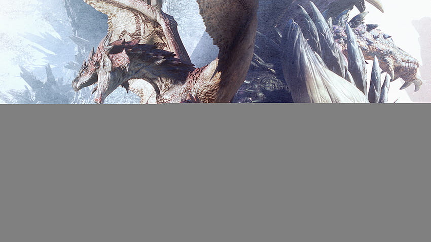 Rathalos und Nergigante, Rathalos der Monsterjägerwelt HD-Hintergrundbild