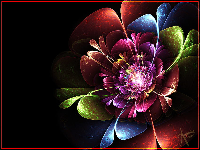 Rainbow Flower by The, flower rainbow HD wallpaper | Pxfuel