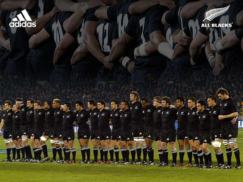 Only the team knows...., old black haka HD wallpaper
