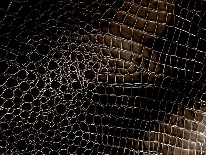 Cocodrilo de cuero negro, piel de cocodrilo fondo de pantalla