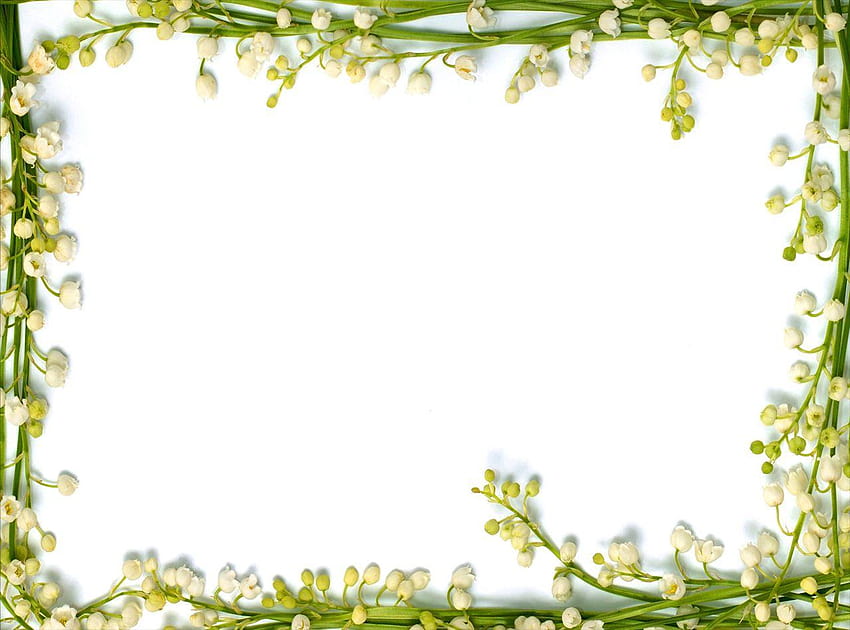 Real Floral Frame Backgrounds For PowerPoint HD wallpaper