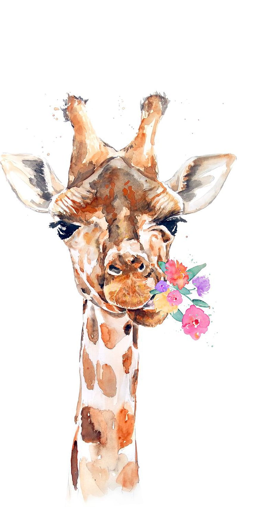 Giraffe posted by Ryan Mercado, giraffe iphone HD phone wallpaper