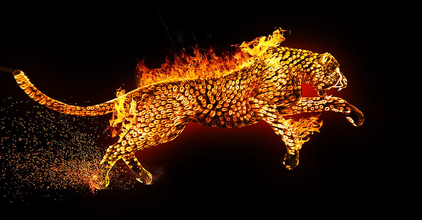 4Gtools hop Tutorial: Fire Stroke Effect I 4Gtools, fire cheetah HD wallpaper