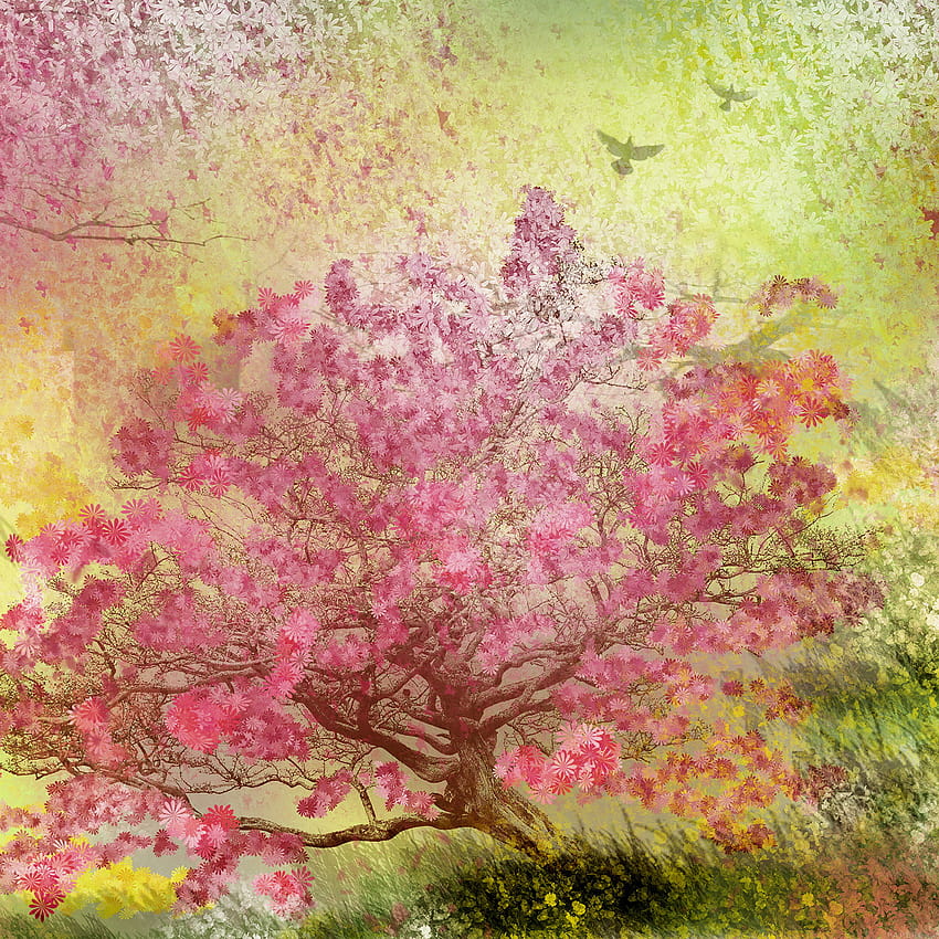 Nature Spring Blossom Trees iPad Air, spring blossom painted HD phone wallpaper