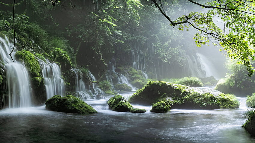 2560x1440 Spring Waterfall Stone Fog Mist Green Forest 1440P Resolution , Backgrounds, and HD wallpaper