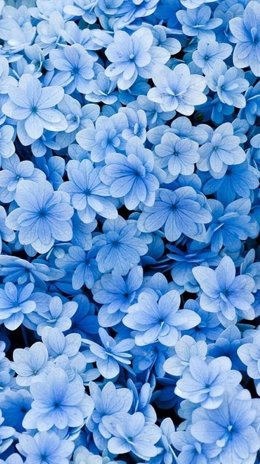 Latest No Cost Blue Flowers tumblr Style Blue colour is ...