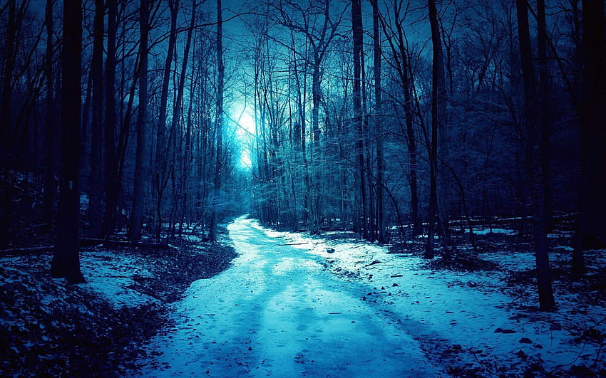 Forest Blue Winter Dark Spooky Road, blue forest aesthetic HD wallpaper