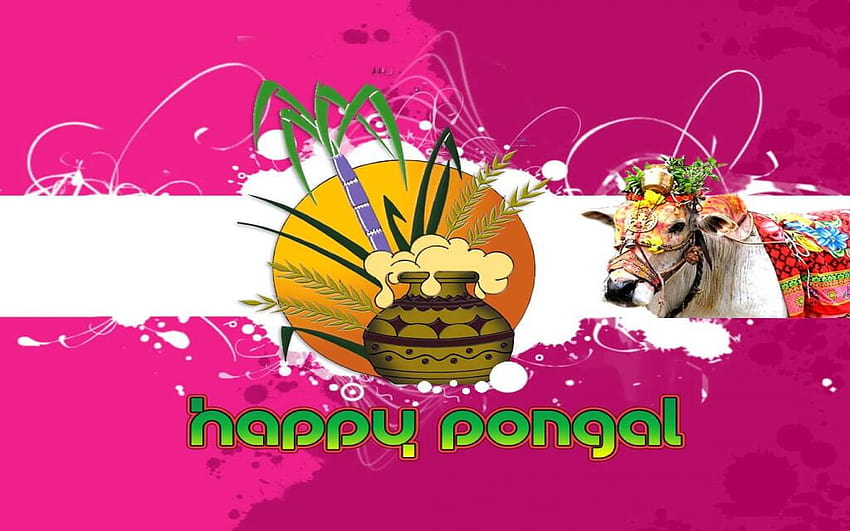 Happy mattu pongal HD wallpapers | Pxfuel