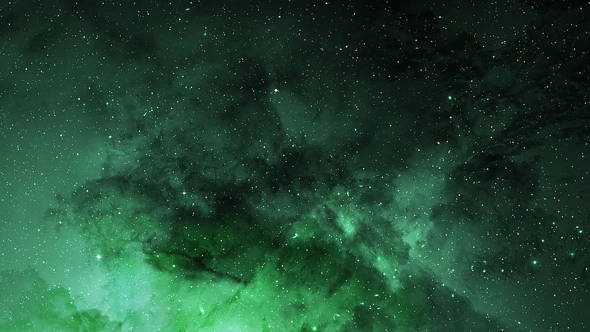 Green space, green cosmos HD wallpaper