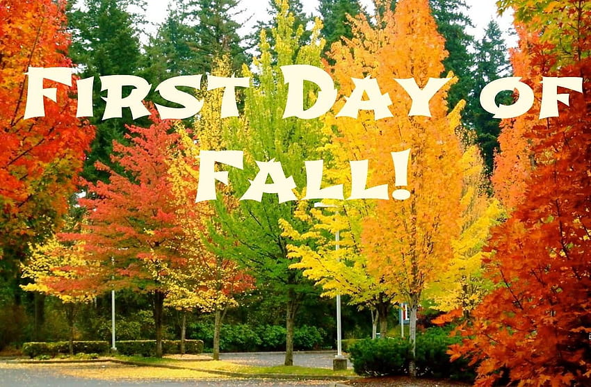  First day of Fall HD wallpaper Pxfuel