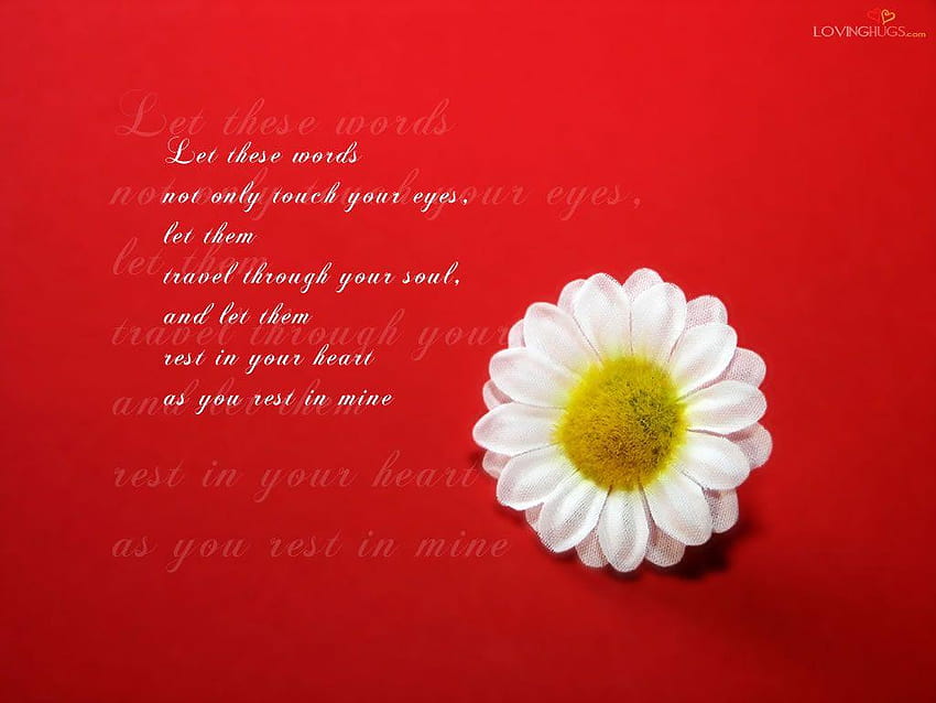 Countless gift options with the personalized design of your choice, best love with lovely quotes HD wallpaper