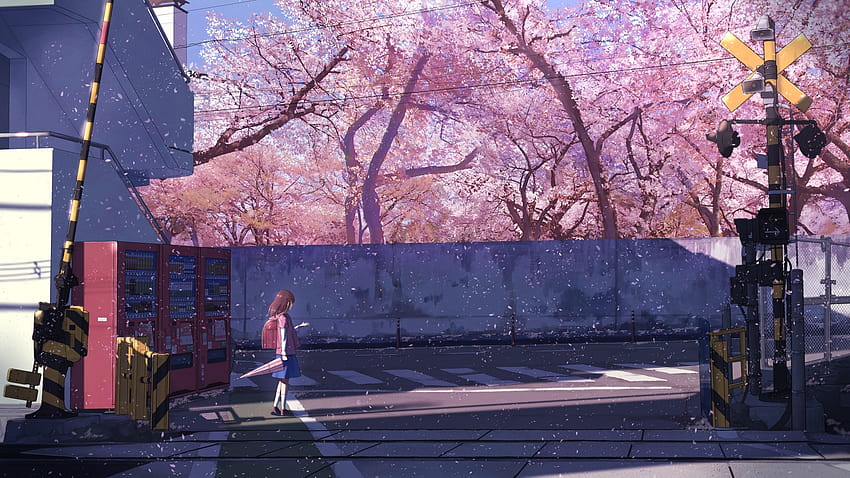 Пейзаж, дървета, цвят на сакура, аниме ученичка, пролет, пролетно аниме HD тапет