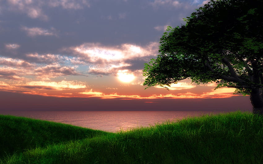 Coucher de soleil au sommet d'une colline, collines herbeuses animées Fond d'écran HD