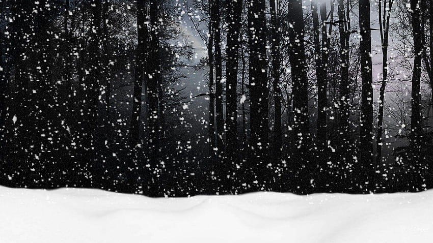 Stopping by Woods on a Snowy Evening, snowy woods HD wallpaper