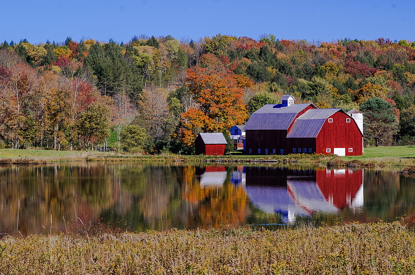 : autumn, lake, reflection, fall, barn, landscape, pond, cornfield, Pennsylvania, farm, fallfoliage, foliage, poconos 4928x3264, autumn farmhouse HD wallpaper