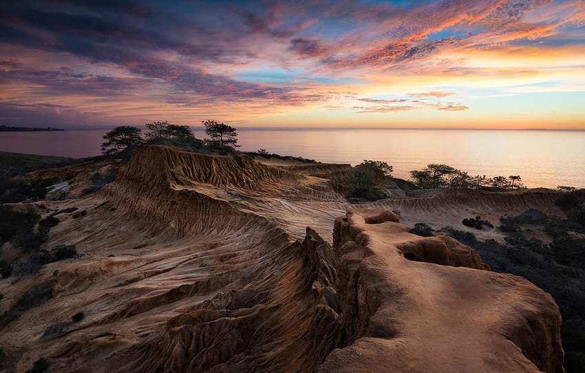 the ocean, San Diego, Torrey Pines, Broken Hill, sunset behind the pines HD wallpaper