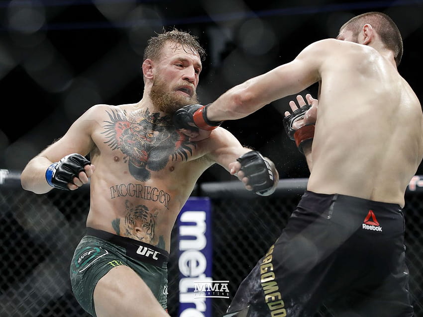 Conor McGregor 'not surprised' Khabib Nurmagomedov would 'scurry away' into retirement rather than fight again, mcgregor vs khabib HD wallpaper