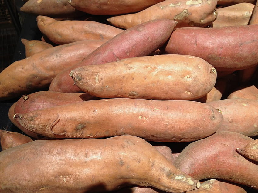 Süßkartoffeln, Yamswurzeln und Maniok HD-Hintergrundbild