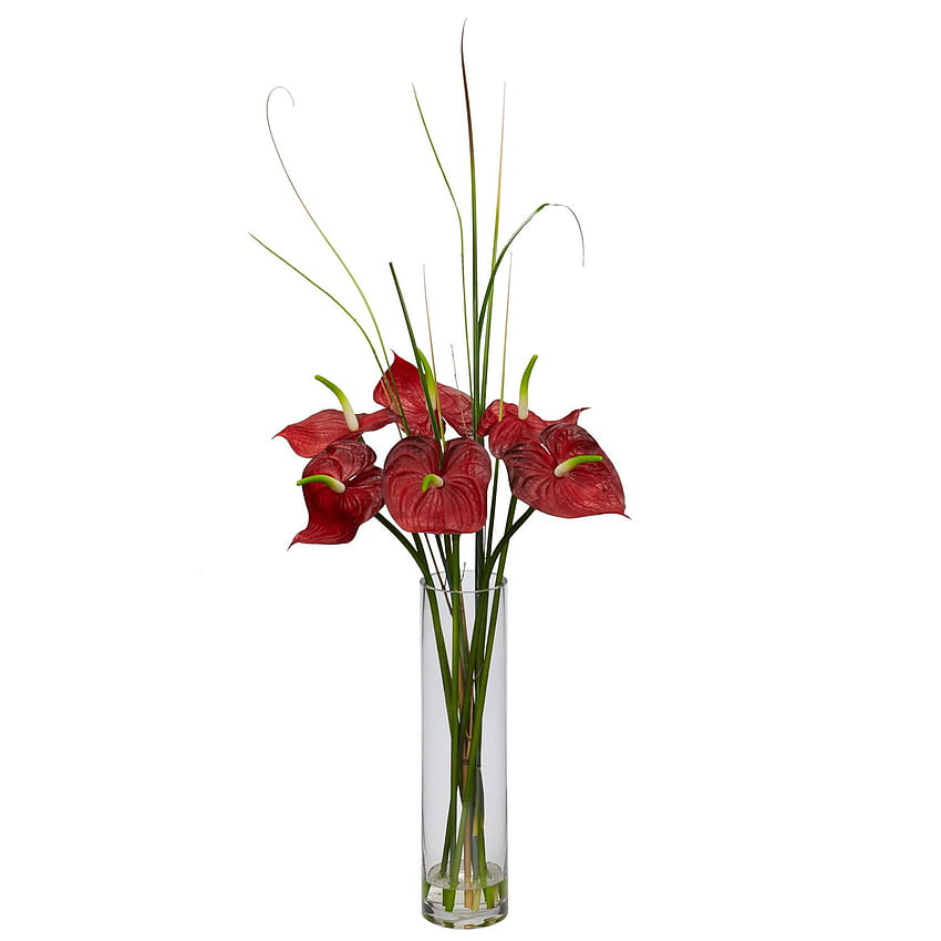 Einzigartiges Anthurium-Blumenarrangement, Anthurium-Hortensie HD-Handy-Hintergrundbild