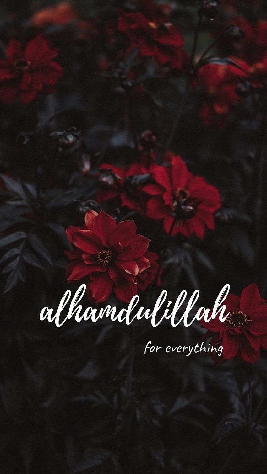 ALHAMDULILLAH Wallpaper  Download to your mobile from PHONEKY