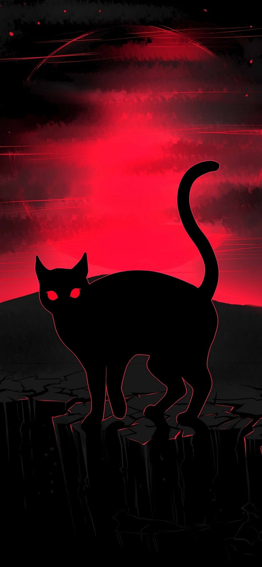 Black Cat Darkness iPhone Lock Screen ⋆ Traxzee, lock screen amoled HD phone wallpaper